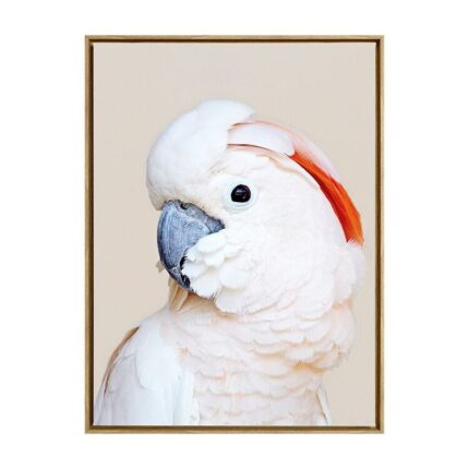 productHero-SPOTWF-BP80684458-oak-frame
