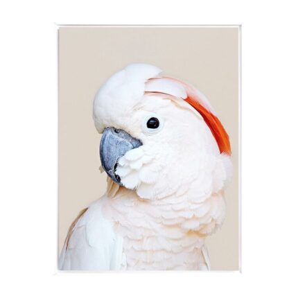 productHero-SPOTWF-BP80684458-white-frame