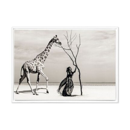 productHero-SPOTWF-BP80684466-white-frame