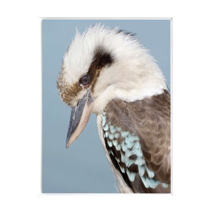 productHero-SPOTWF-BP80684485-white-frame