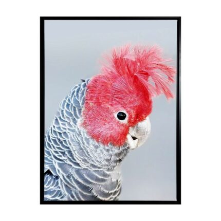 productHero-SPOTWF-BP80684513-black-frame