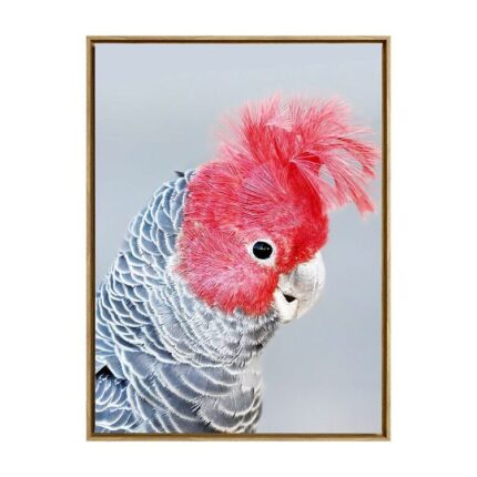 productHero-SPOTWF-BP80684513-oak-frame