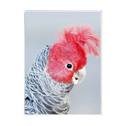 productHero-SPOTWF-BP80684513-white-frame