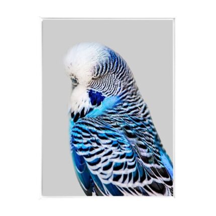 productHero-SPOTWF-BP80684541-white-frame