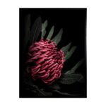 productHero-SPOTWF-BP80684568-black-frame
