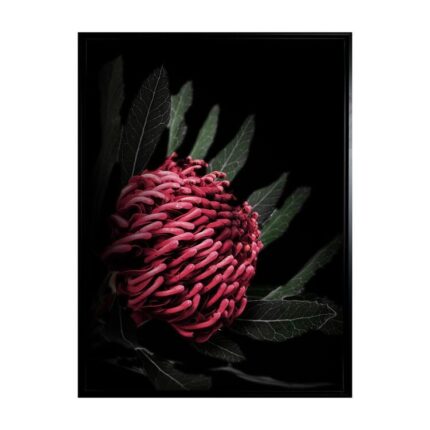 productHero-SPOTWF-BP80684568-black-frame