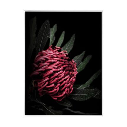 productHero-SPOTWF-BP80684568-white-frame