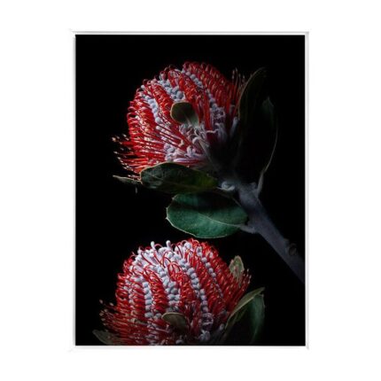 productHero-SPOTWF-BP80684596-white-frame
