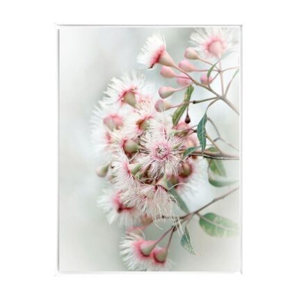 productHero-SPOTWF-BP80684651-white-frame