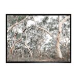 productHero-SPOTWF-BP80685005-black-frame