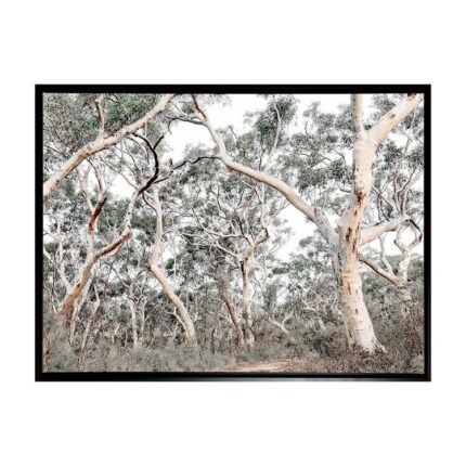 productHero-SPOTWF-BP80685005-black-frame