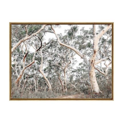 productHero-SPOTWF-BP80685005-oak-frame