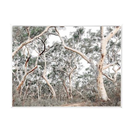 productHero-SPOTWF-BP80685005-white-frame