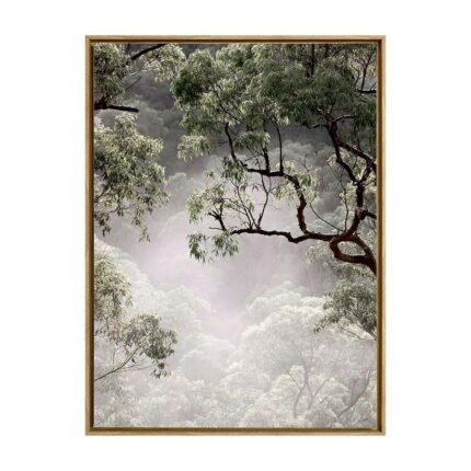 productHero-SPOTWF-BP80685033-oak-frame