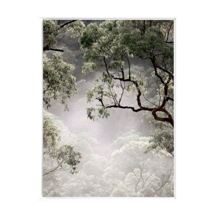 productHero-SPOTWF-BP80685033-white-frame