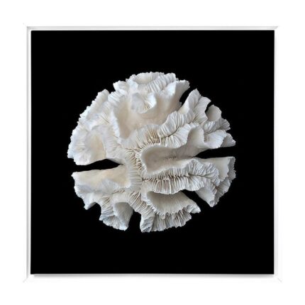 productHero-SPOTWF-BP80685327-white-frame