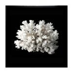 productHero-SPOTWF-BP80685355-black-frame