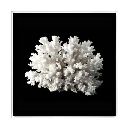 productHero-SPOTWF-BP80685355-white-frame