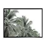 productHero-SPOTWF-BP80685655-black-frame