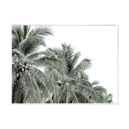 productHero-SPOTWF-BP80685655-white-frame