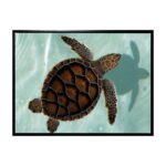 productHero-SPOTWF-BP80685791-black-frame