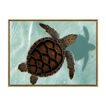 productHero-SPOTWF-BP80685791-oak-frame