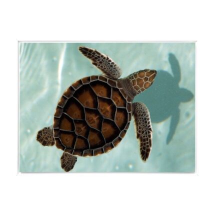 productHero-SPOTWF-BP80685791-white-frame