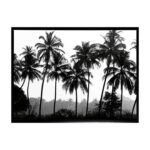 productHero-SPOTWF-BP80685832-black-frame