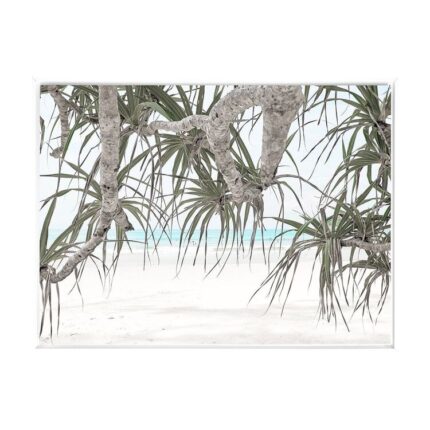 productHero-SPOTWF-BP80686050-white-frame