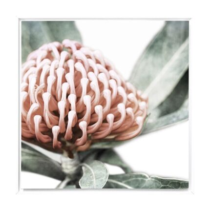 productHero-SPOTWF-BP80686068-white-frame