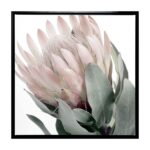 productHero-SPOTWF-BP80686087-black-frame