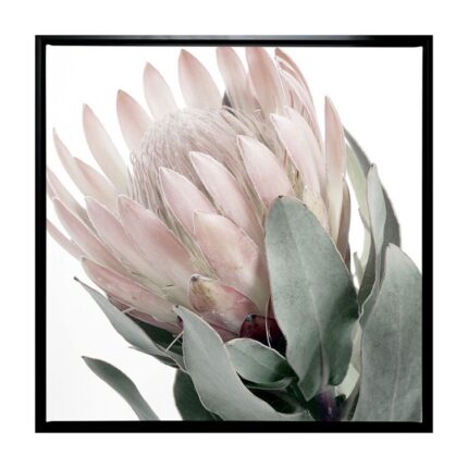 productHero-SPOTWF-BP80686087-black-frame