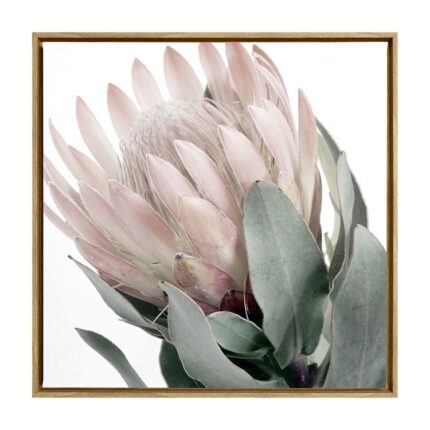 productHero-SPOTWF-BP80686087-oak-frame