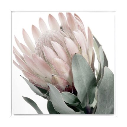 productHero-SPOTWF-BP80686087-white-frame
