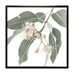 productHero-SPOTWF-BP80686125-black-frame