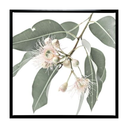 productHero-SPOTWF-BP80686125-black-frame