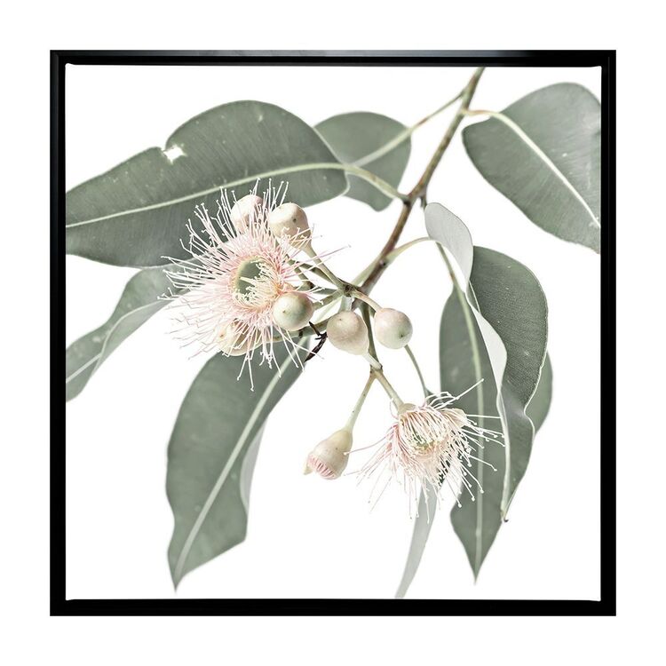 productHero-SPOTWF-BP80686125-black-frame productHero-SPOTWF-BP80686125-black-frame