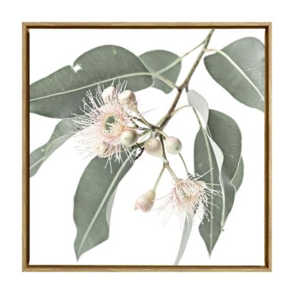 productHero-SPOTWF-BP80686125-oak-frame