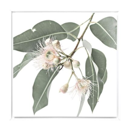 productHero-SPOTWF-BP80686125-white-frame