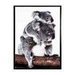 productHero-SPOTWF-BP80686163-black-frame
