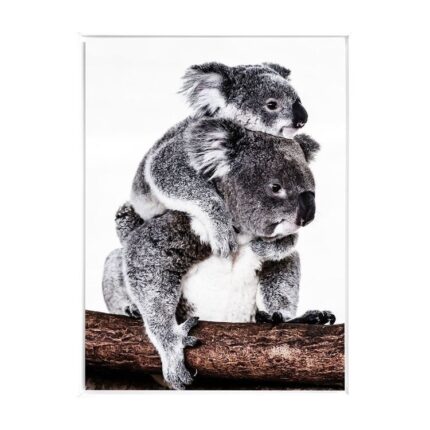 productHero-SPOTWF-BP80686163-white-frame