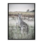 productHero-SPOTWF-BP80686182-black-frame