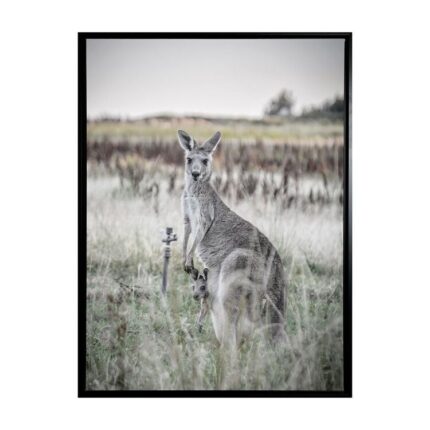 productHero-SPOTWF-BP80686182-black-frame