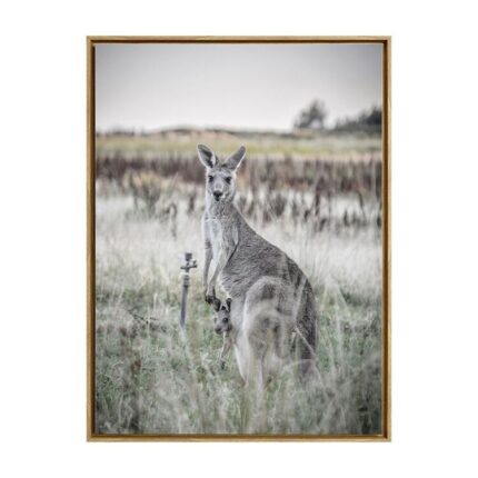 productHero-SPOTWF-BP80686182-oak-frame