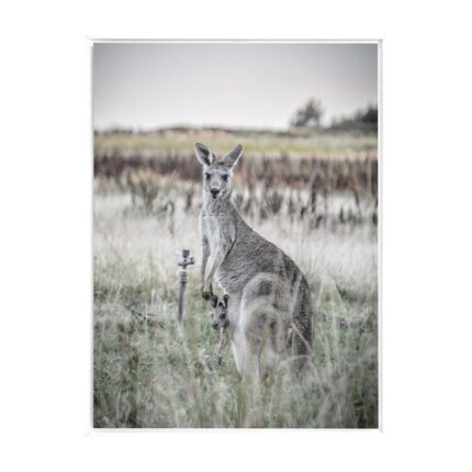 productHero-SPOTWF-BP80686182-white-frame