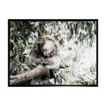 productHero-SPOTWF-BP80686201-black-frame