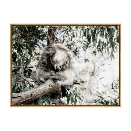 productHero-SPOTWF-BP80686201-oak-frame