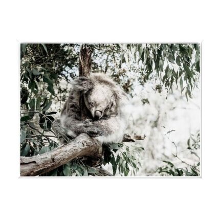 productHero-SPOTWF-BP80686201-white-frame