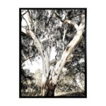 productHero-SPOTWF-BP80686220-black-frame