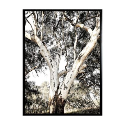 productHero-SPOTWF-BP80686220-black-frame